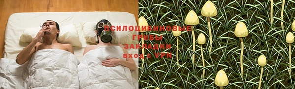 МДМА Богородицк