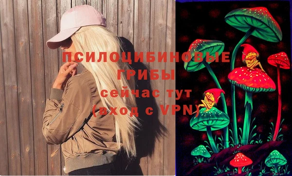 мдма Богородск