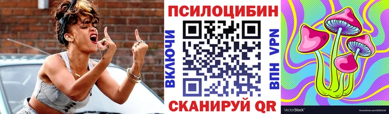 Псилоцибиновые грибы Cubensis  Полесск 